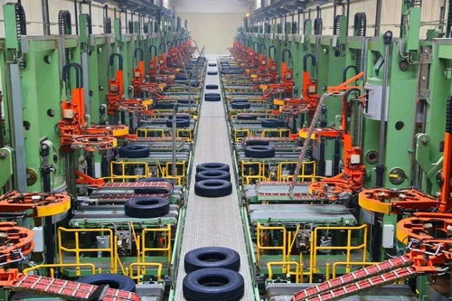 青島發(fā)布網(wǎng)絡(luò)技術(shù)服務(wù)新金花培育名單，誰(shuí)將成為未來(lái)的五朵金花？